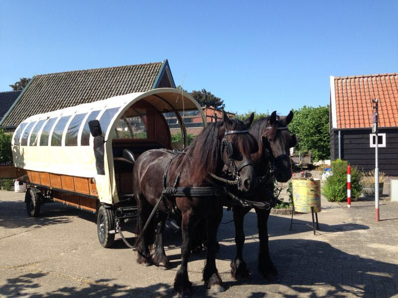 Een Stijlvolle Uitvaart - traditioneel vervoer met paard en koets of wagen