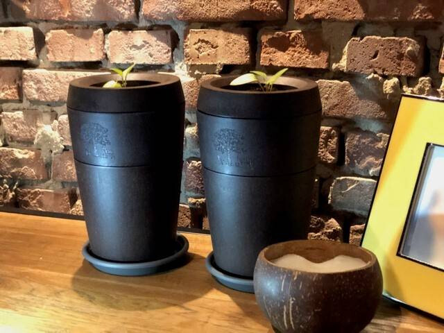 Blijdschap en Troost met Evertree urn
