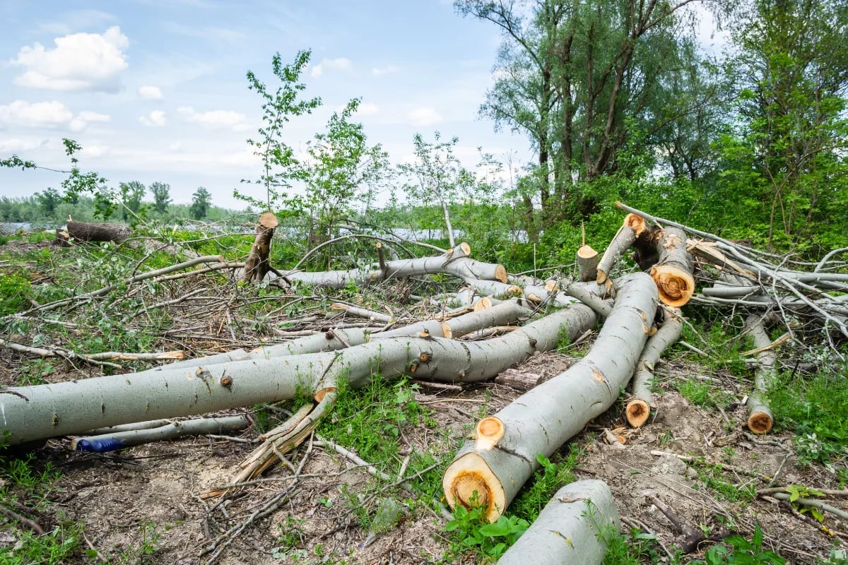 Stormschade aan graven: hoe zit het met de kosten?