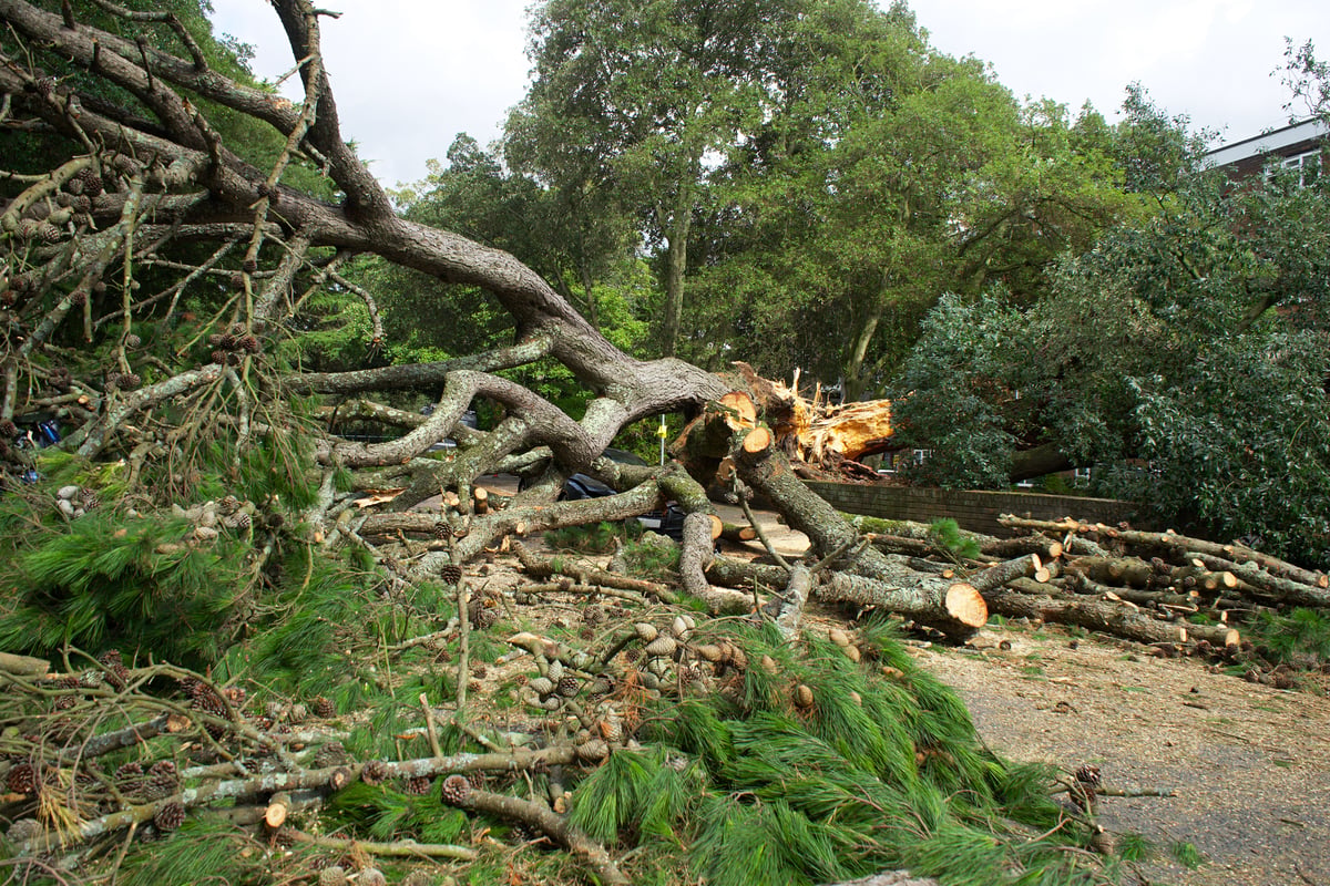 Begraafplaats dicht na stormschade