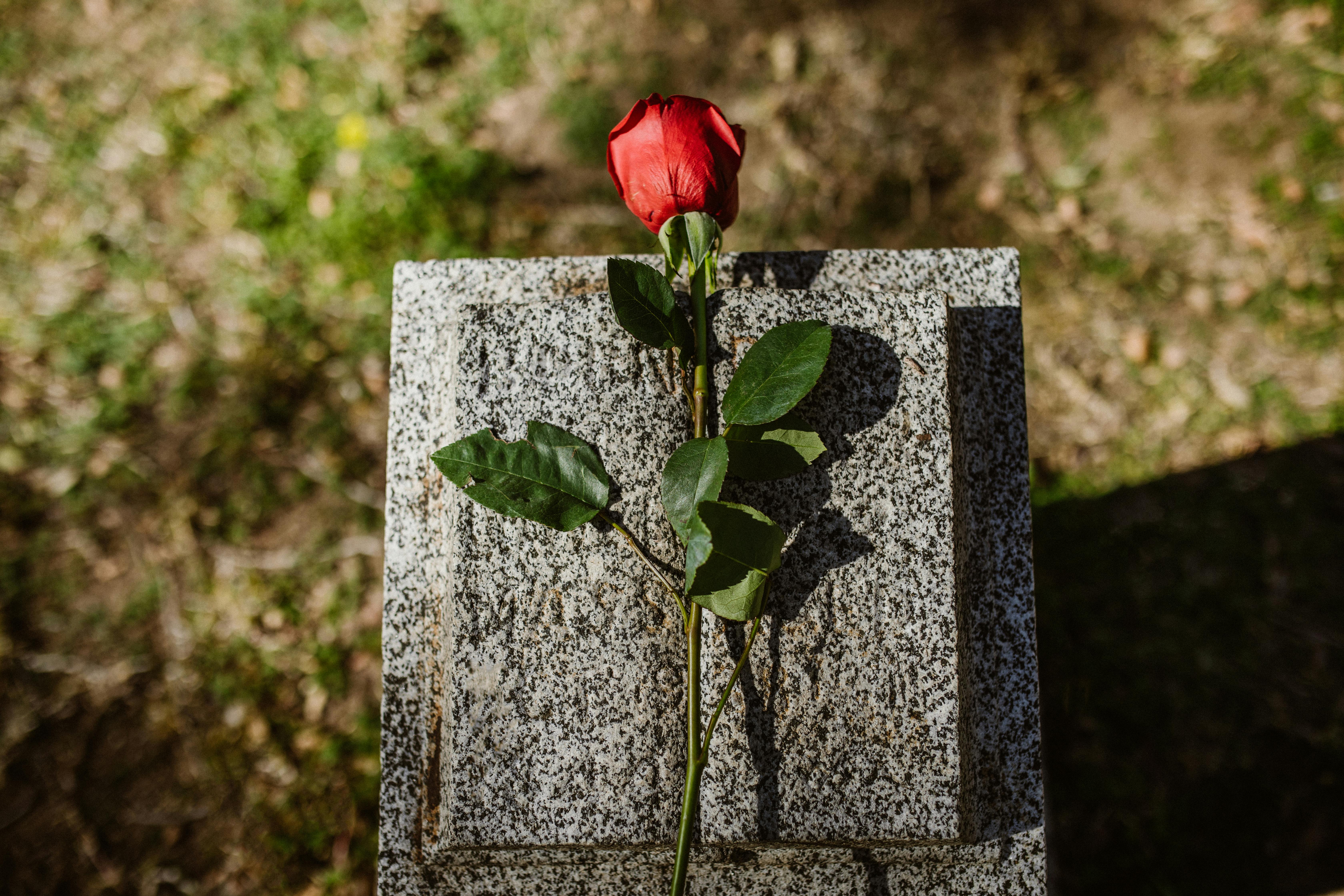 Steeds meer mensen krijgen een eenzame uitvaart: gemeenten zoeken naar manieren om waardig afscheid te waarborgen
